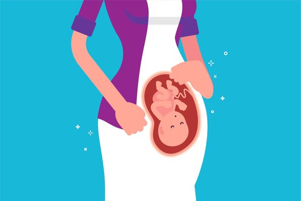 Tinggi Fundus Normal Pada Trimester Ketiga Fase Kehamilan